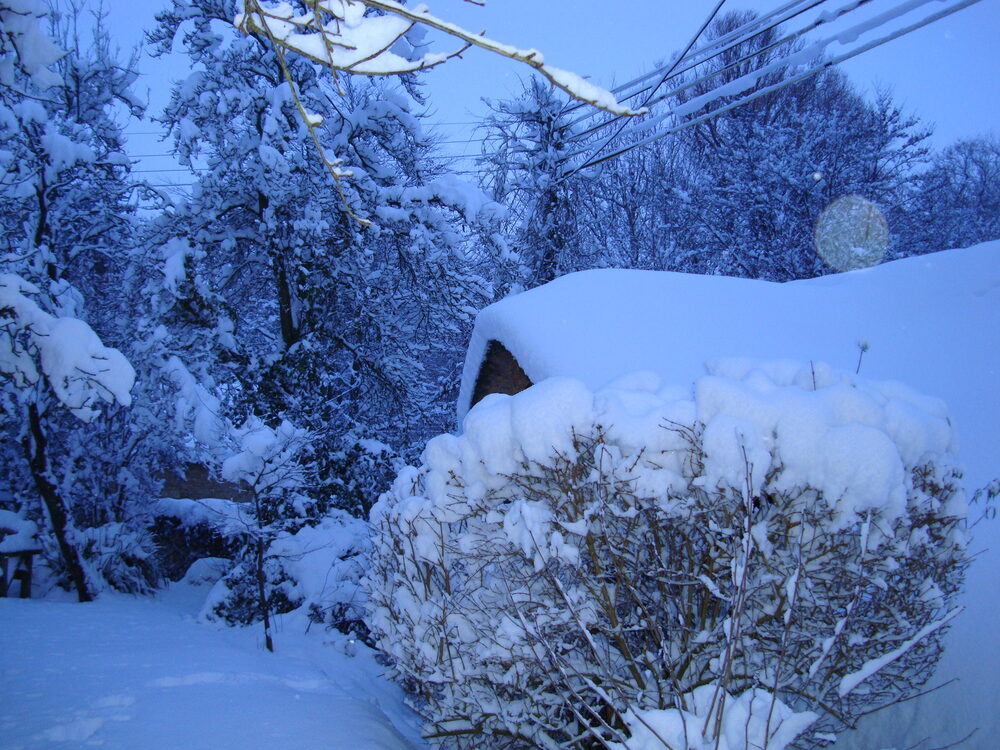 The thatched barn under snow
